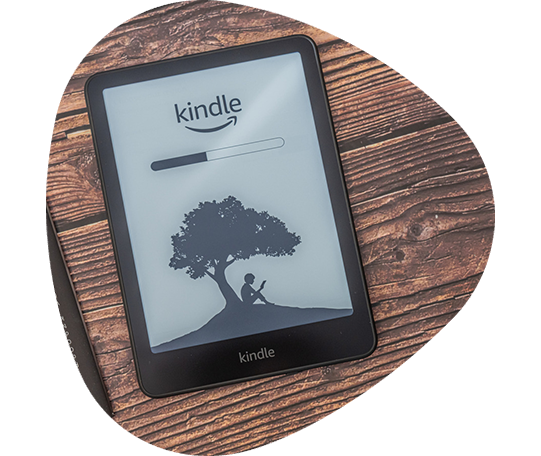 Professional Book Publishing Services